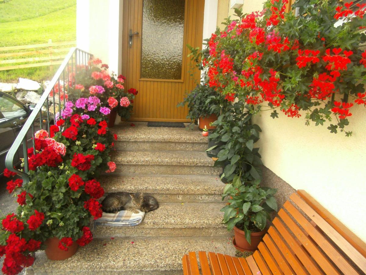 Ferienwohnung Haus Erika Wagrain Exterior foto